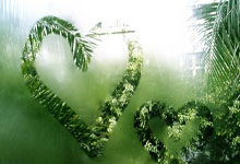 巴西对阵法国，谁才是足球赛场的终极王者？